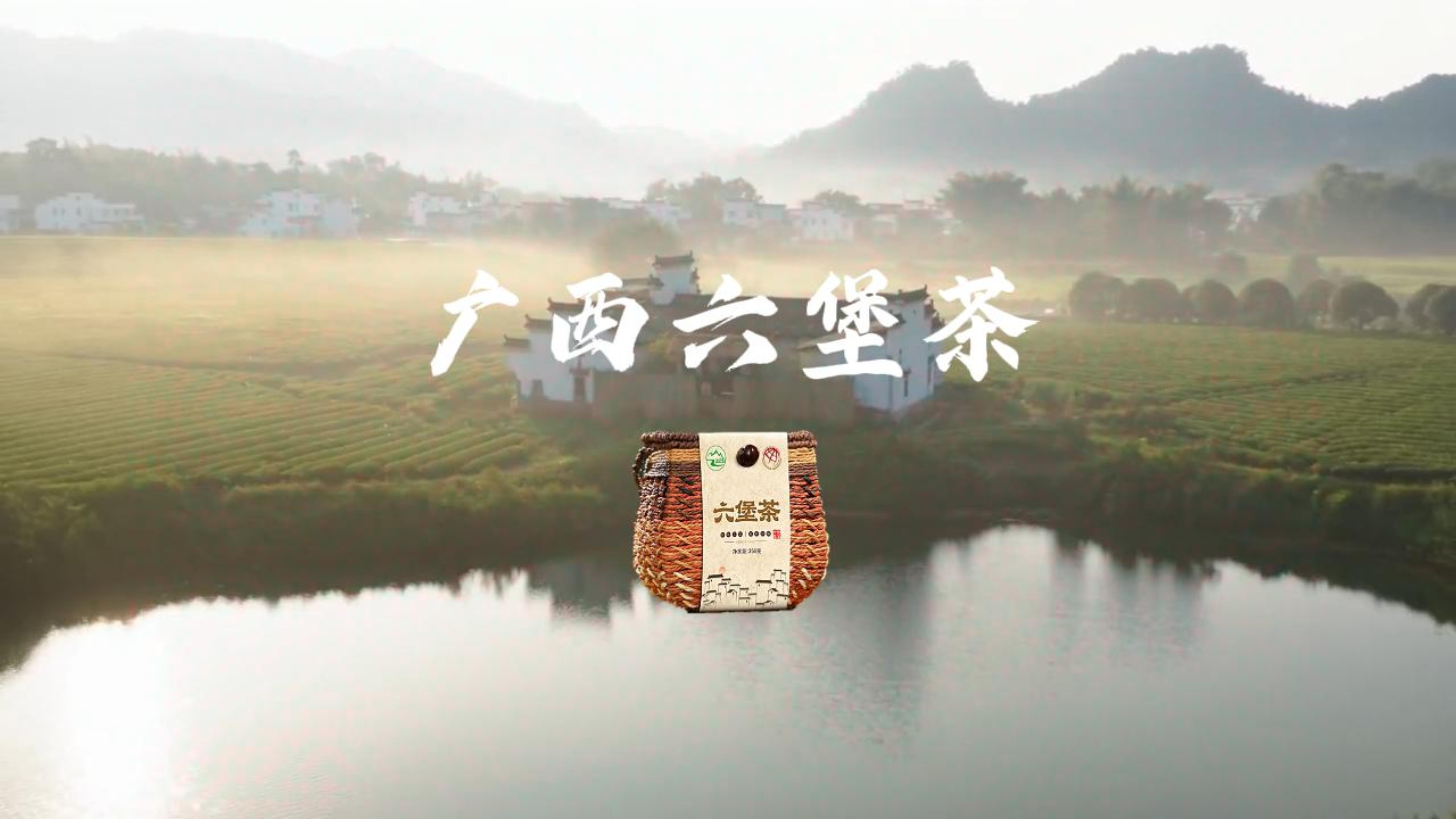 广西六堡茶视频封面